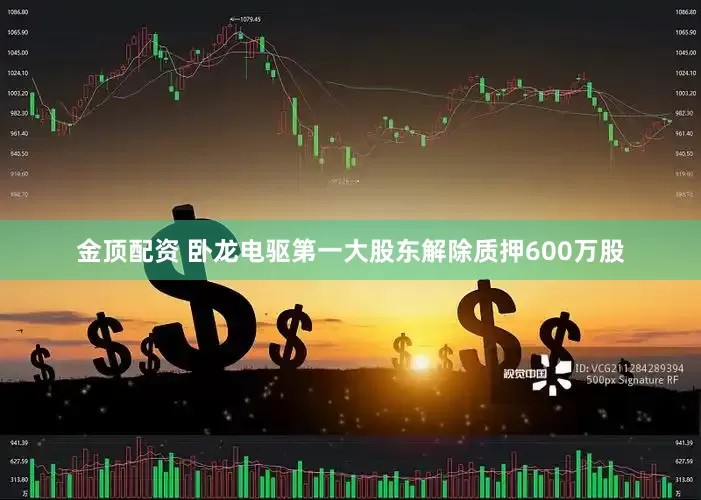 金顶配资 卧龙电驱第一大股东解除质押600万股