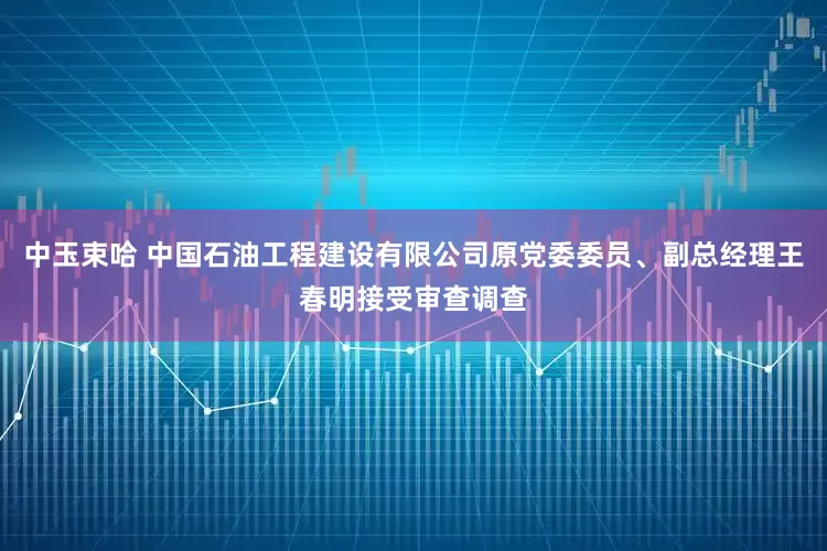 中玉束哈 中国石油工程建设有限公司原党委委员、副总经理王春明接受审查调查