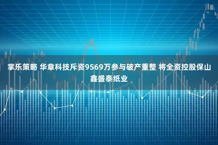 掌乐策略 华章科技斥资9569万参与破产重整 将全资控股保山鑫盛泰纸业