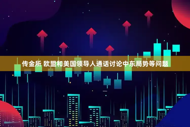 传金所 欧盟和美国领导人通话讨论中东局势等问题