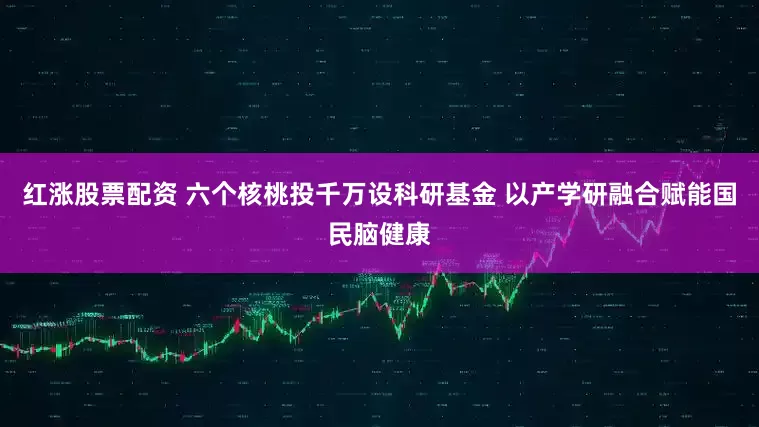 红涨股票配资 六个核桃投千万设科研基金 以产学研融合赋能国民脑健康